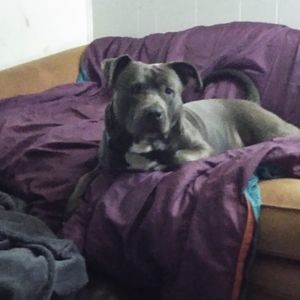 Meet your Posher, Kim